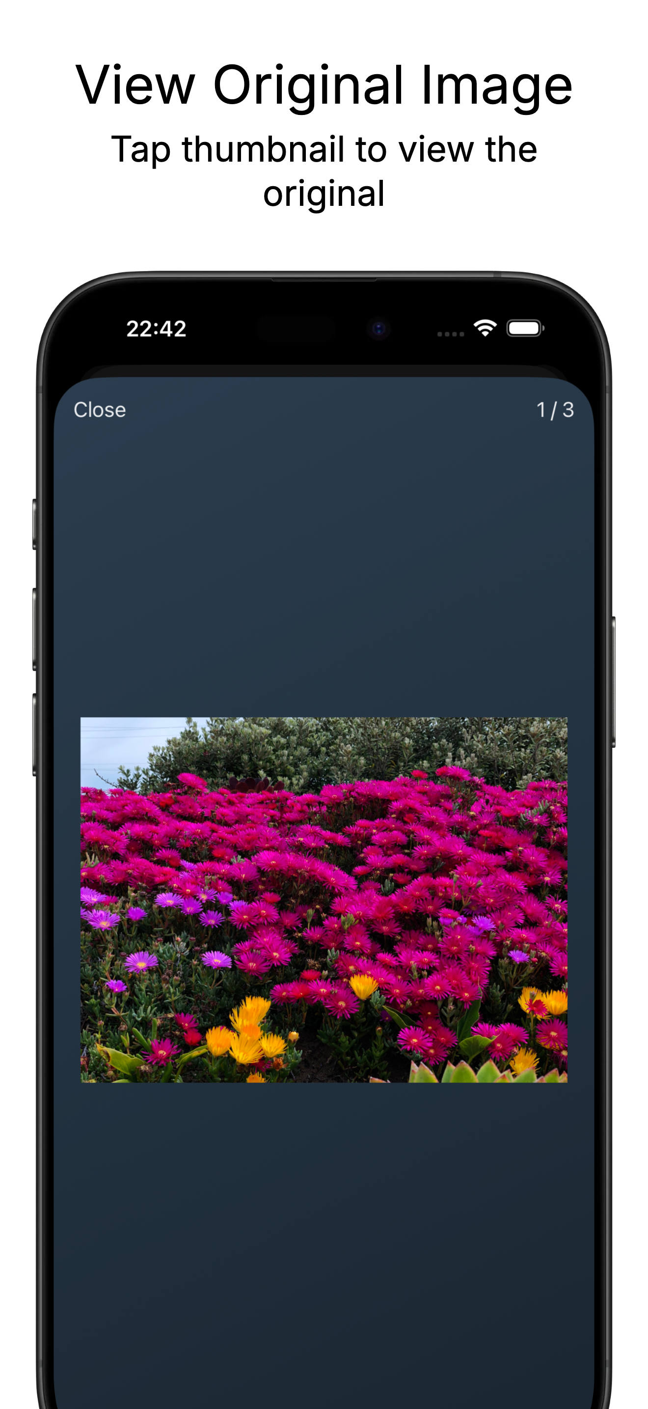 Photo Cleaner Lite upgrade screen